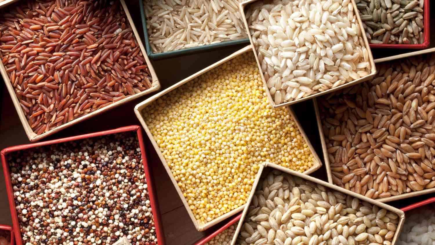 Zim Govt Overhauls Grain Import Laws in Response to El Nino-Induced Drought