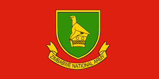 Zimbabwe National Army Soldier